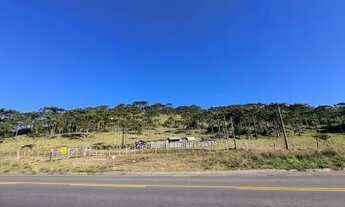 Imagem 4: Terreno rural com 128 hectares em São Joaquim-SC