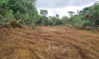 Imagem 2: Lotes em Abrantes - Oportunidade!