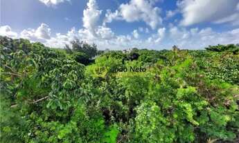 Imagem 7: JN) Oportunidade!!! Apto no Cond. Porto Seguro, 2 qtos 1 suíte, lazer completo!