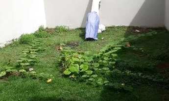 Imagem 6: Casa no Bairro Jardim Nossa Senhora do Perpétuo Socorro