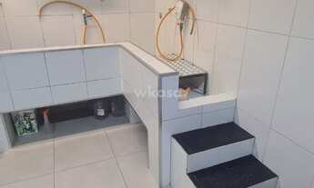 Imagem 2: PET SHOP em Morada de Laranjeiras - PORTEIRA FECHADA