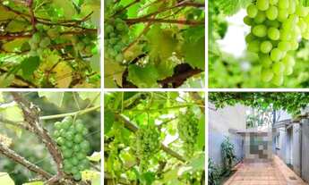 Imagem 2: Apartamento em Santana