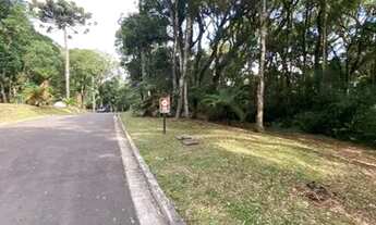 Imagem 7: Gramado - Terreno Padrão - Mato Queimado