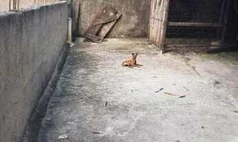 Imagem 7: Terreno com garagem construída