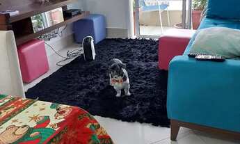 Imagem 4: Aluguel apartamento 3 dormitórios Jundiaí