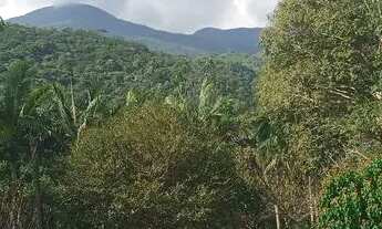 Imagem 2: Vendo sitio em Águas Mornas