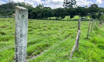 Imagem 3: LP - Vendo terreno com ótimo solo