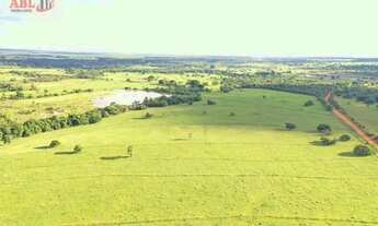 Imagem 7: Fazenda Lavoura para Venda em Paranaíba-MS - 3170