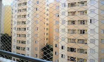 Imagem 2: Apartamento amplo para locação com 3 dormitórios no Continental