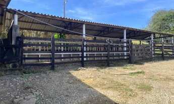 Imagem 5: Sítio-À VENDA-Centro-Santos Dumont-MG