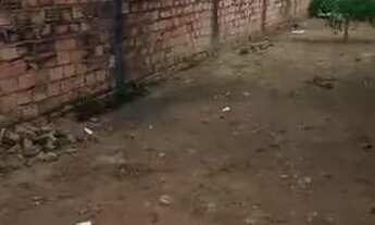 Imagem 4: Vende-se Casa Casa em condomínio com 2 dormitórios