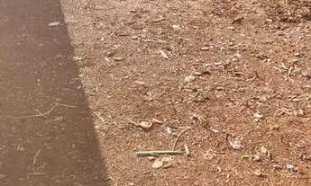 Imagem 3: Vendo Terreno chácaras Bela Vista - Uberlândia