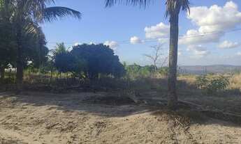 Imagem 5: Vendo sítio Chácara com venda por R$90.000