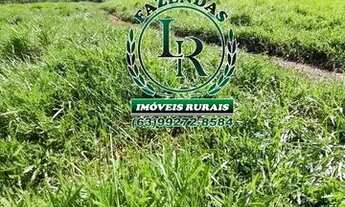 Imagem 5: Chácara 2,5 Alqueires