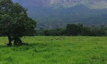 Imagem 4: Fazenda em Goiás velho