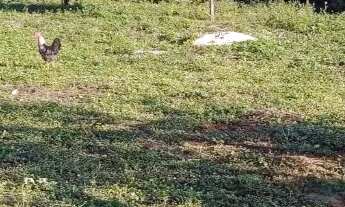 Imagem: Chacará Murada 900M2 Bandeirinhas/Betim