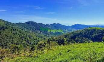 Imagem 7: SÍTIO SEM BENFEITORIAS Á VENDA EM GUARATINGUETÁ-SP