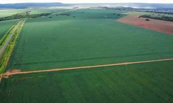 Imagem 2: Fazenda com 100% com Dívida no banco em Goiás