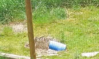 Imagem: Casa de condomínio para venda possui 1398