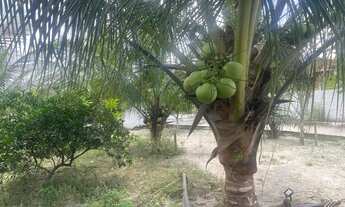 Imagem 3: Chácara magnífica a 08 km do aeroporto, 04 suítes, piscina, pomar, acesso Rio Pojuca
