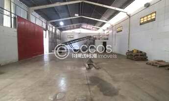 Imagem 3: Galpão para aluguel, Chácaras Tubalina e Quartel - Uberlândia/MG