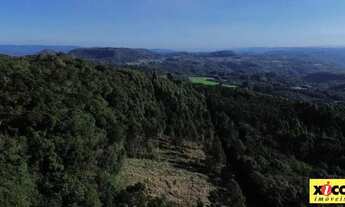 Imagem 4: Sítio / Chácara para Venda em Nova Petrópolis, Linha Imperial