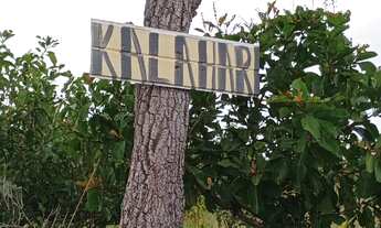 Imagem 7: Terreno para chácara