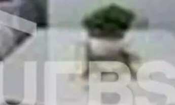 Imagem 2: CONCOMÍNIO BORGES LANDEIRO ORIENT