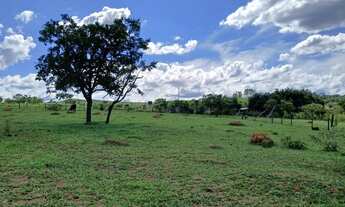 Imagem 6: Chácara DF Planaltina Pedra Fundamental