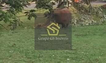 Imagem 5: Terreno à venda, 504 m² por R$ 560.000,00 - Condomínio Reserva dos Vinhedos - Louveira/SP