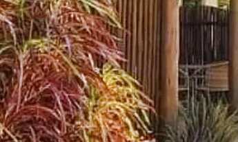 Imagem: Casa Dúplex em Condomínio fechado, Piscina