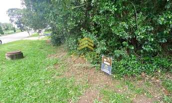 Imagem: Imóvel para venda possui 395 metros quadrados