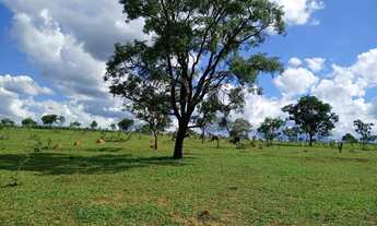 Imagem 2: Chácara DF Planaltina Pedra Fundamental