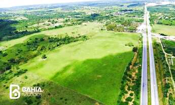 Imagem 2: Terreno plano com 275.000m² - Conceição do Jacuípe - Bahia