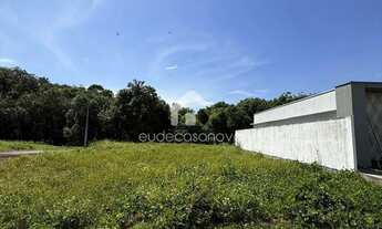 Imagem 5: 3 Lotes / Chácaras de January - Iranduba