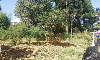 Imagem 7: Terreno com ótima localização para venda-Vila Antonio