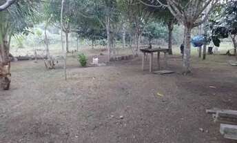 Imagem 5: Sítio em Presidente Figueiredo