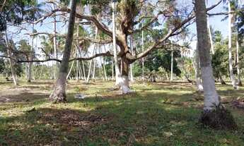 Imagem 6: Terreno no Povoado Riacho Velho em Marechal Deodoro, Alagoas- Medindo 10.843 m2
