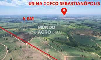 Imagem: 46 Alqueires em Cana - 6 km da usina COFCO