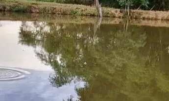 Imagem 4: Ocasião; Chácara 1,20 alqueires, Itaberaí