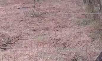 Imagem 6: Terreno plano Terreno / lote com venda por R$1.113.000