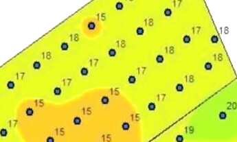 Imagem 5: Fazenda de arrendamento
