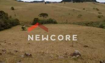 Imagem 3: Lote em Est Lageado Grande - Lageado Grande - São Francisco de Paula/RS