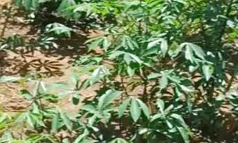 Imagem 4: VENDO ou Troco sitio de 1000M² em Contagem Prox a lagoa varzea das flores!