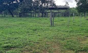 Imagem 3: Vende-se uma excelente fazenda de 226 hectares