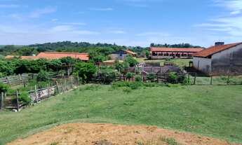 Imagem 5: Vende-se Granja de Frangos em Elias Fausto