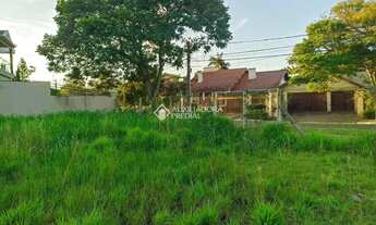 Imagem 5: Terreno 20 x 36,50