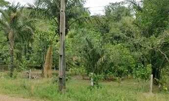 Imagem 3: Terreno com 11.809,99m²