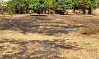 Imagem 3: Chácara e Luziânia 5.760mt²