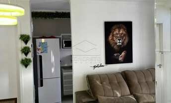 Imagem 6: Lindo apartamento no NOVA NAÇÃO AMÉRICA!